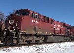 CP 8928